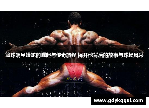 篮球明星蟒蛇的崛起与传奇旅程 揭开他背后的故事与球场风采