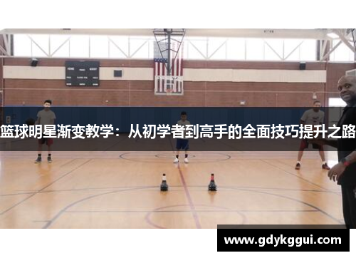 篮球明星渐变教学：从初学者到高手的全面技巧提升之路